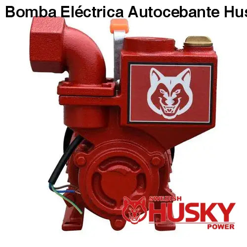 Bomba Eléctrica Autocebante Husky 1X1 1/2 HP 370W HKW50